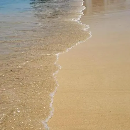 Estrella De Mar